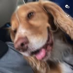 layla - @layla_bowman123 - Instagram