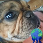 Layla Brady - Facebook