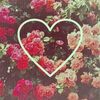 Layla Branch - @layla_branch_monkey - TikTok