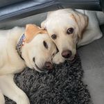 𝐵𝑟𝑖𝑛𝑘𝑙𝑒𝑦 𝑎𝑛𝑑 𝐿𝑎𝑦𝑙𝑎 💗💓 - @brinkley_layla - Instagram