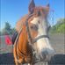 Layla Brown - Facebook