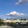 layla.brown - @layla.brown - TikTok