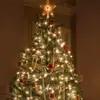 laylabrowning27 - @christmas__tiktok12 - TikTok