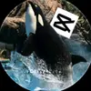 laylabryan - @laylabryan46 - TikTok
