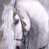 layla.bush - @layla.bush20 - TikTok