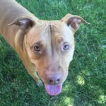 Layla 🐾 - @layla_byrd11 - Instagram