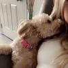layla🤍🤍 - @layla..campbell - TikTok