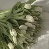 layla carpenter - @layla.c78 - TikTok