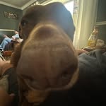 Layla - @layla_.carpenter - Instagram