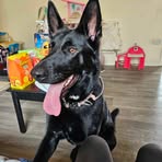 Layla Charles - Facebook