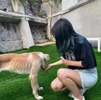 Layla Chen - Facebook