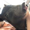 Layla - @laylaconway2 - TikTok