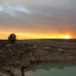 🃏♠️layla🃏♠️ - @layla_cooke02 - Instagram