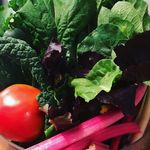 Layla Copeland - @cookwhatyougrow - Instagram