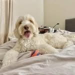 Layla Cox - @layla84158 - Instagram