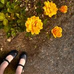 Layla Craig - Facebook