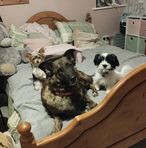 Layla Curtis - Facebook