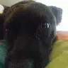 Layla Curtis - @laylacurtis7 - TikTok