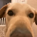 Layla Decker - @under800notes - Instagram