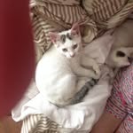 layla dennis - @laygrace9 - Instagram