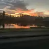 Layla dillon - @layla.dillon5 - TikTok