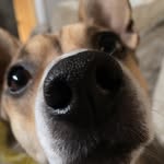 Layla - @layladuffy_hi - Instagram
