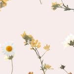 User2256 - @_layladuffy_ - Instagram