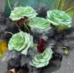 Leyla Duran - Facebook