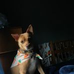 Layla Ellis - Facebook