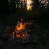 xolaylaeverett_ - @xolaylaeverett_ - TikTok
