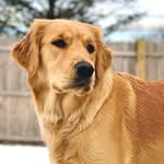 Layla Fitzpatrick - @laylafitz2020 - Instagram
