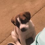 Layla Fitzpatrick - @williamsouglas - Instagram
