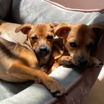 Flora & Layla - @flora_and_layla - Instagram