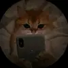 ☆Layla☆ - @layla.flora - TikTok