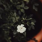 Layla Ford - @layla879819 - Instagram