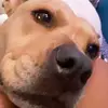 Layla Ford - @lyla102837 - TikTok