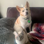 Frankie + Layla - @frankieandlayla - Instagram