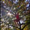 laylagamble - @._l._g._2.0 - TikTok