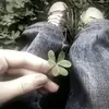 ️ - @layla.gomez35 - TikTok