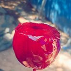 Layla Gomez - Facebook