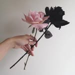 Layla Goodwin - @lllllllllllllayla - Instagram
