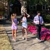 Layla gray - @laygray27 - TikTok