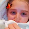 user8155882228179 - @layla_gregory6 - TikTok