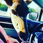 Layla Hahn - @laylas_clay - Instagram