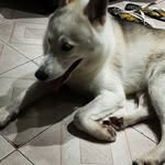 @layla.hale0 - Instagram