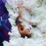 Layla Hale - @layla_hale223 - Instagram