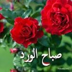 Layla Ham - Facebook