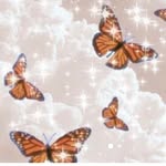 Laylahammond - @sparkle_butterfly13 - Instagram
