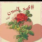 Layla Hammoud - @leilahmd123 - Instagram