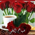 Layla Hammoud - @layla.hammoud.5074 - Instagram